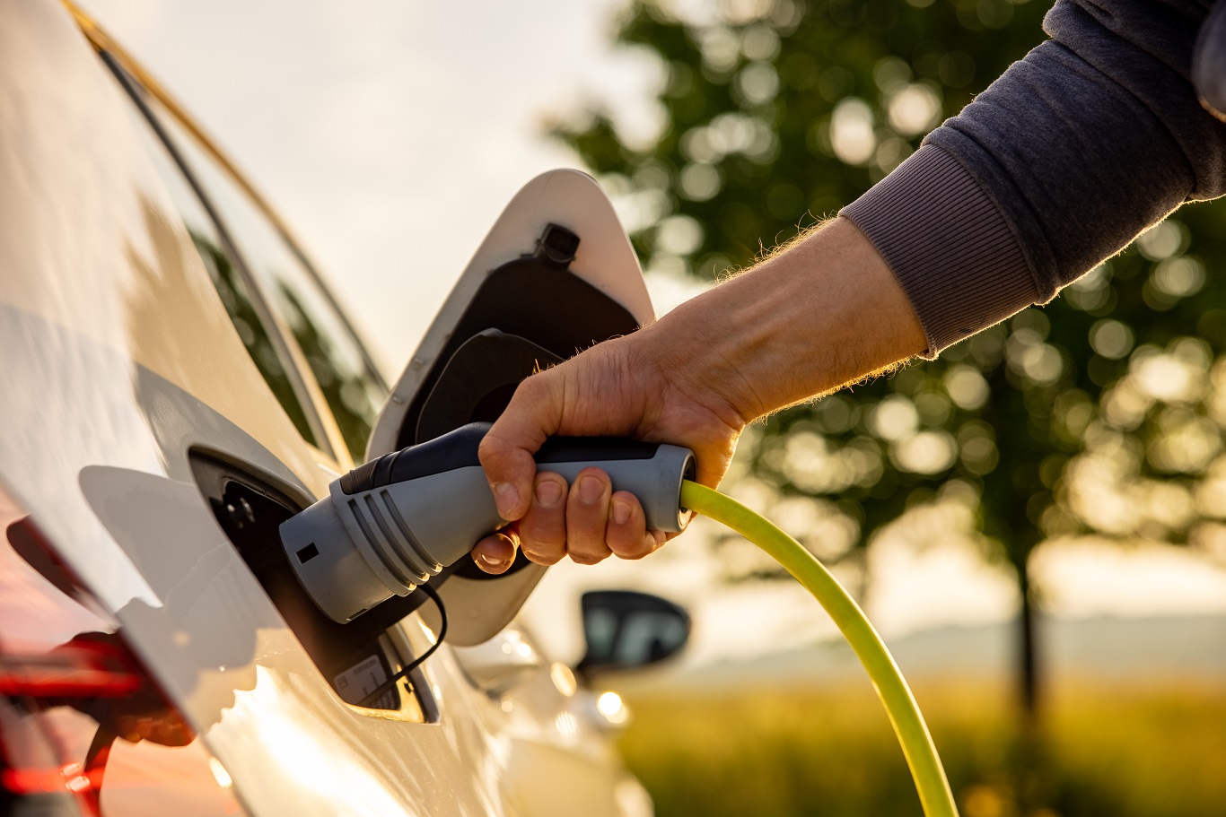 Electric Vehicles Charging Impact bot